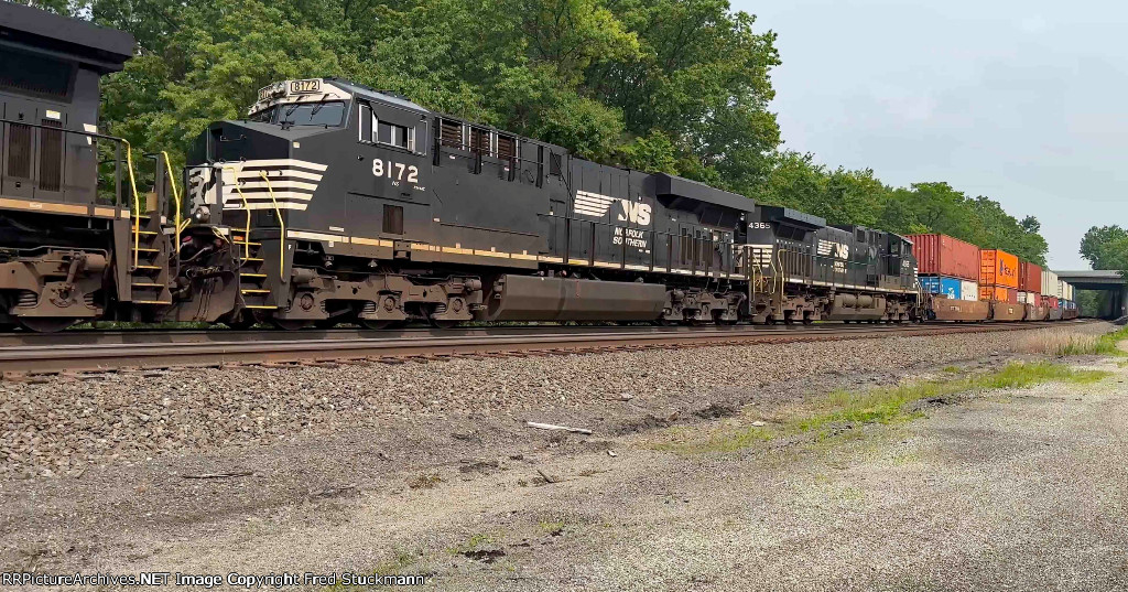 NS 8172